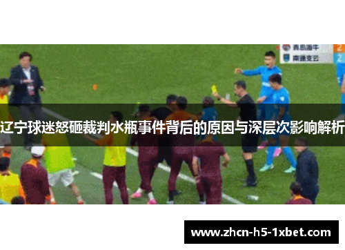 辽宁球迷怒砸裁判水瓶事件背后的原因与深层次影响解析
