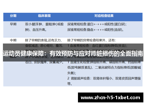 运动员健康保障：有效预防与应对肾脏损伤的全面指南