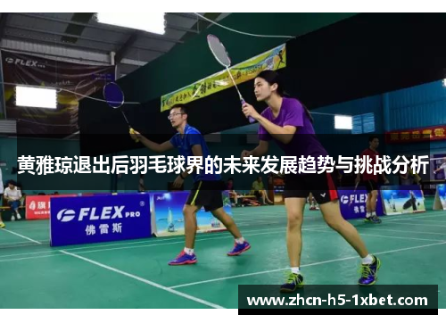 黄雅琼退出后羽毛球界的未来发展趋势与挑战分析